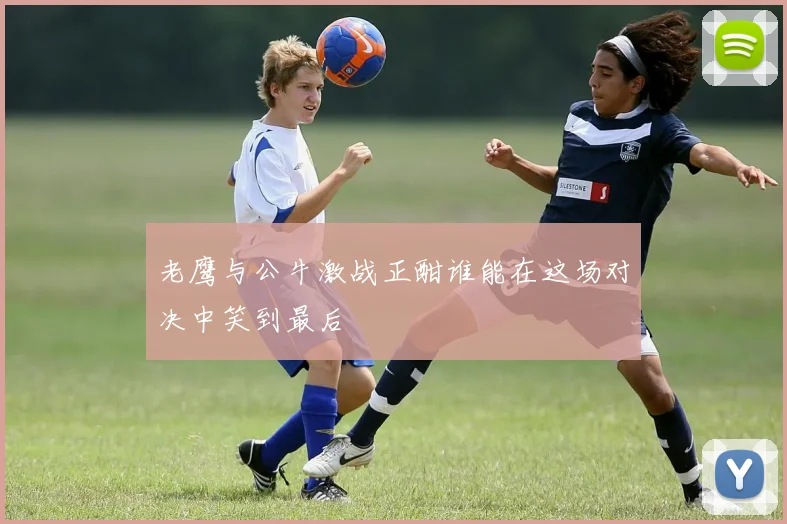 老鹰与公牛激战正酣谁能在这场对决中笑到最后