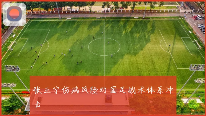 张玉宁伤病风险对国足战术体系冲击