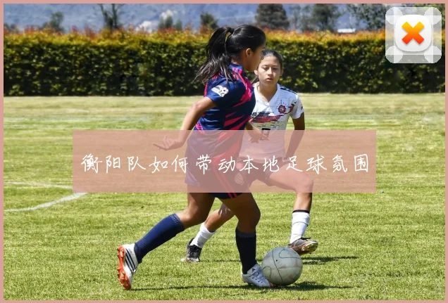 衡阳队如何带动本地足球氛围