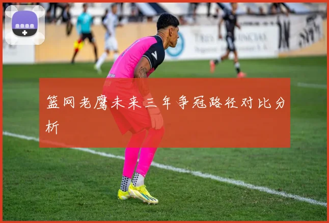 篮网老鹰未来三年争冠路径对比分析