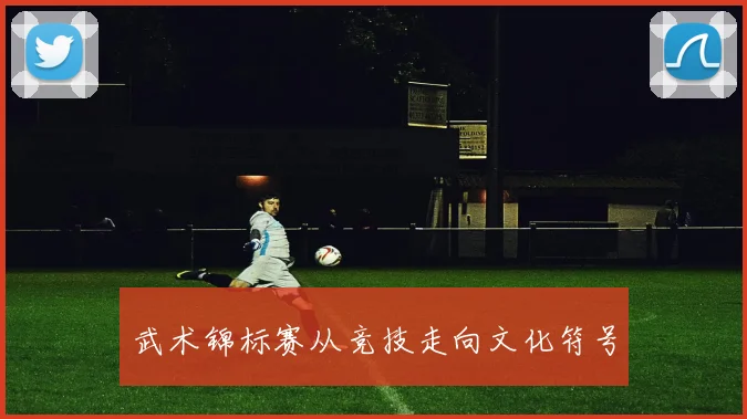 武术锦标赛从竞技走向文化符号