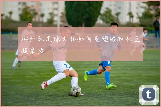 郴州队足球文化如何重塑城市社区凝聚力