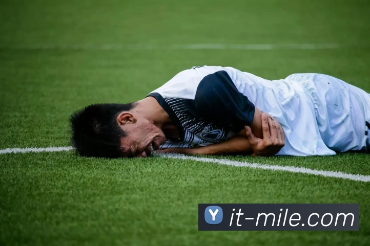 多媒体互动体验