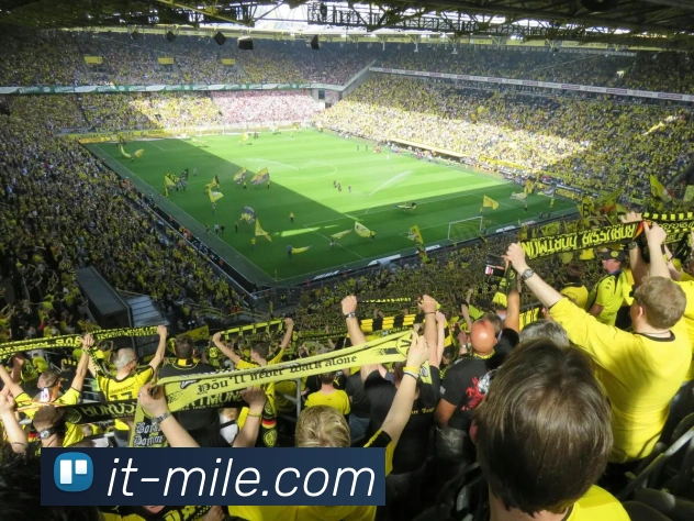 米乐APP 体育赛事宣传图